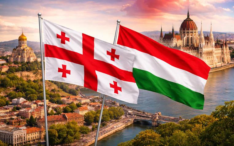 Венгрия прекращает выдачу рабочих виз для граждан 3 стран, в том числе и Грузии