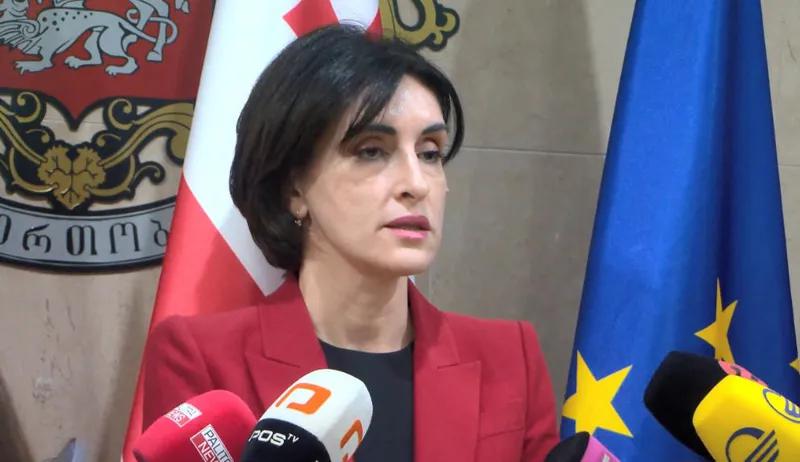 Мака Бочоришвили – В резолюции Европарламента очень много лжи и неверной информации – Мы воспринимаем это как нападение на грузинское государство и общество