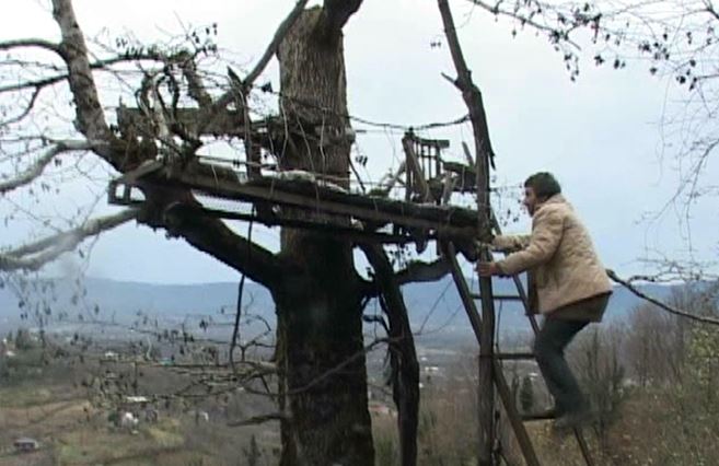 Мужчина в Гурии живет на дереве