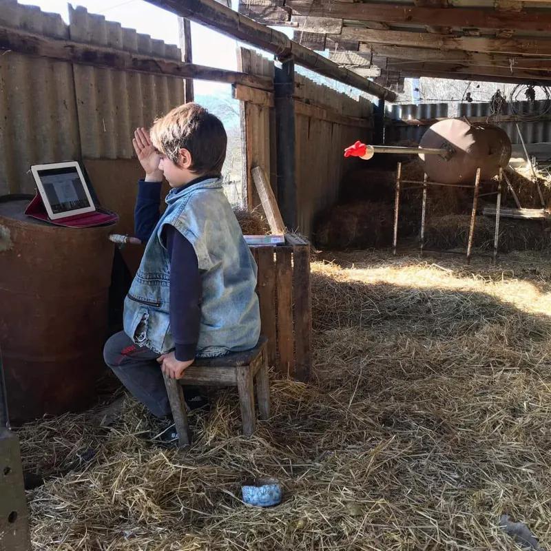 Фото дня из Кахети: школьник участвует в онлайн-уроке с сеновала