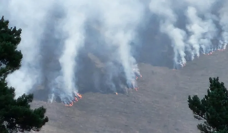 По информации Службы управления чрезвычайными ситуациями, пожар в ущелье Цовати в Тушетии ликвидирован
