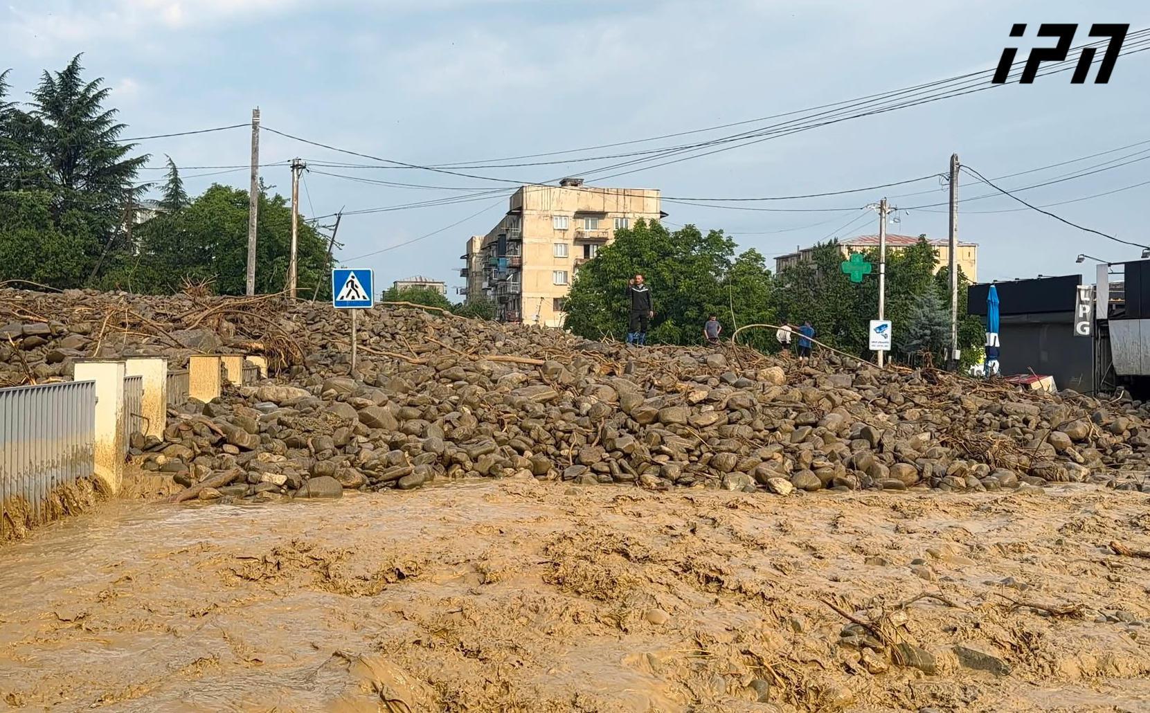 telavi-wyaldidoba8-31748-1783868012.jpg