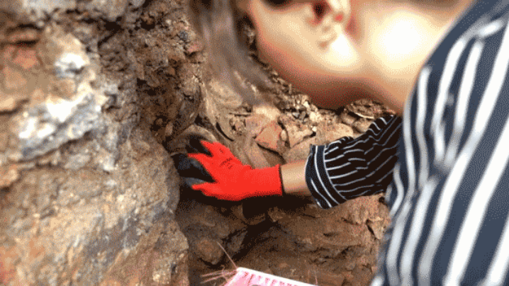 ancient-discovery-in-tbilisi-4-68605-1790706399.png